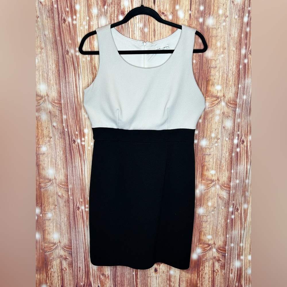 Sandra Darren Black and Cream Sheath Mini Dress